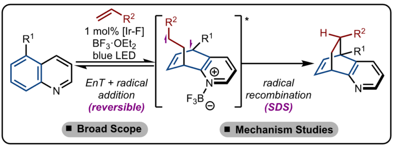 Photochemical Dearomative Cycloadditions of Quinolines and Alkenes: Scope and Mechanism Studies