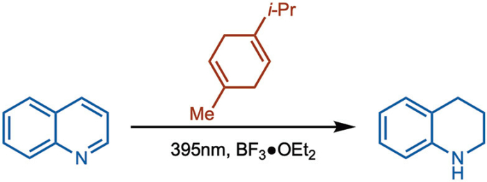 Links to Publication